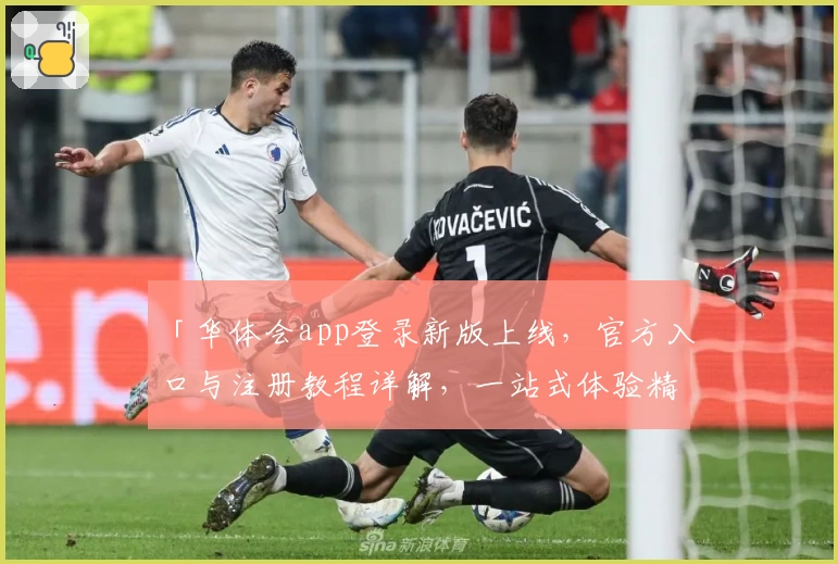 「华体会app登录新版上线,官方入口与注册教程详解,一站式体验精彩功能」