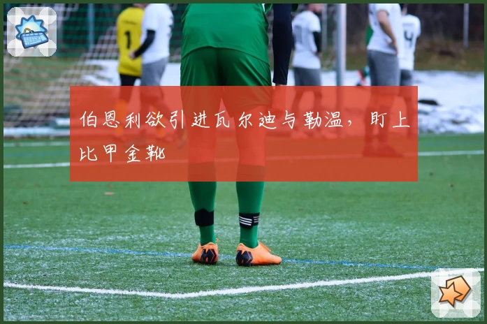 伯恩利欲引进瓦尔迪与勒温，盯上比甲金靴