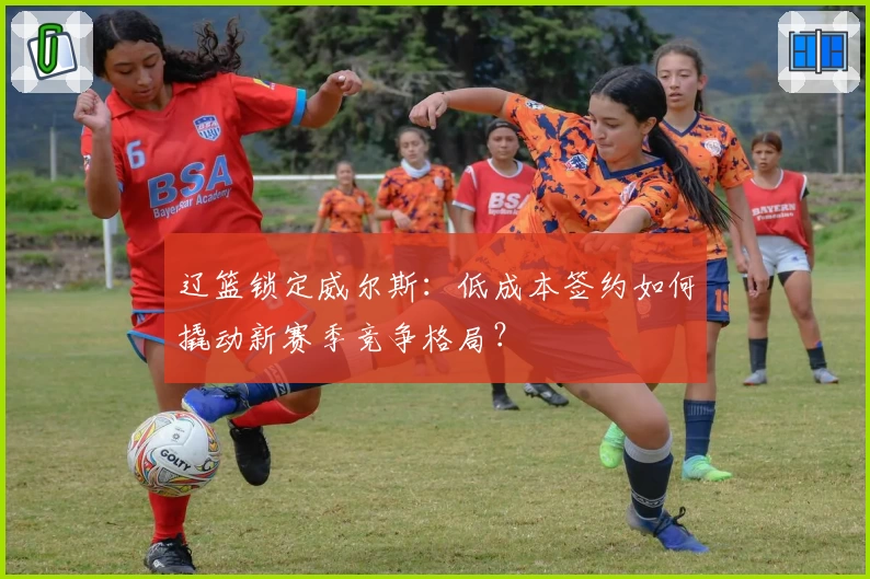 辽篮锁定威尔斯:低成本签约如何撬动新赛季竞争格局?